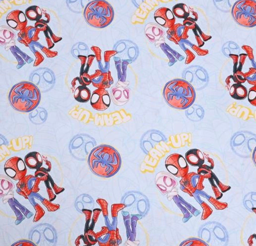 Spider-Man Dress in the Style of a Pooh & Friends Dress